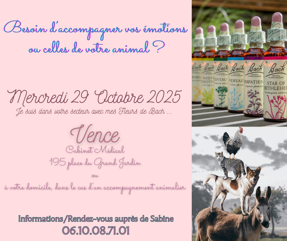 Séances Fleurs de Bach à Vence mercredi 29 octobre 2025