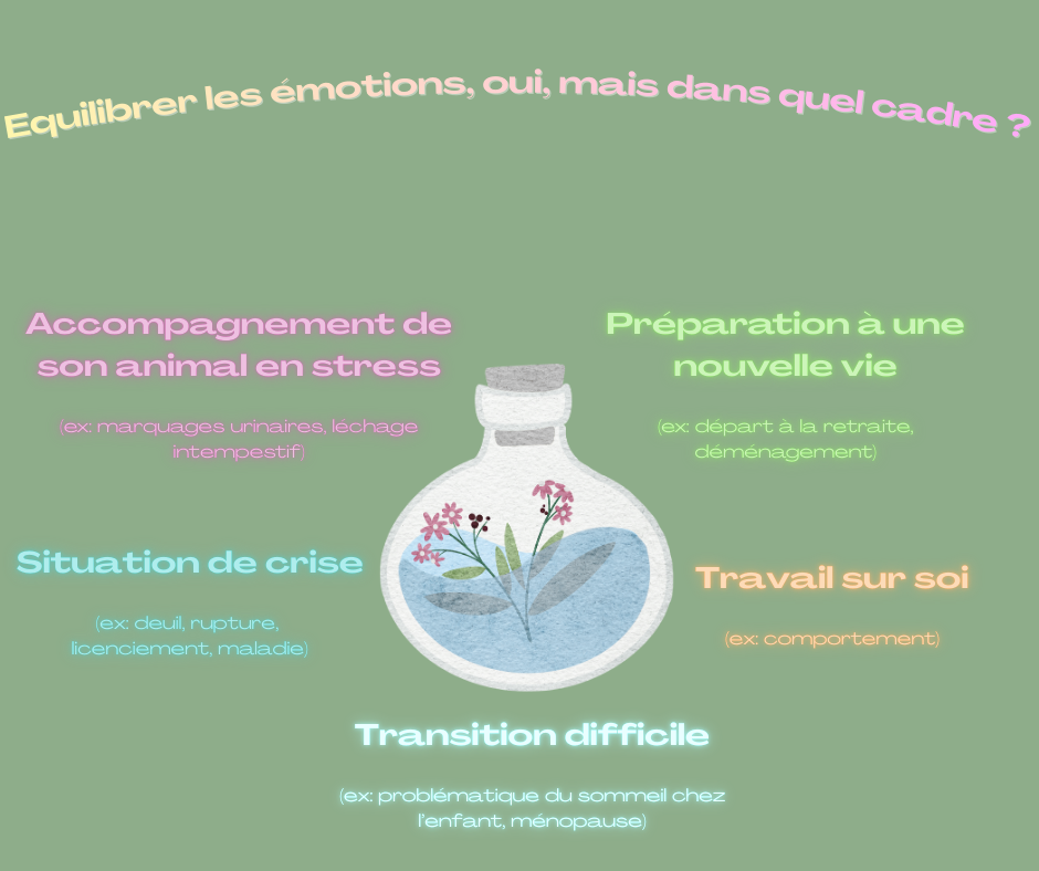 Comment les Fleurs de Bach peuvent vous accompagner ?